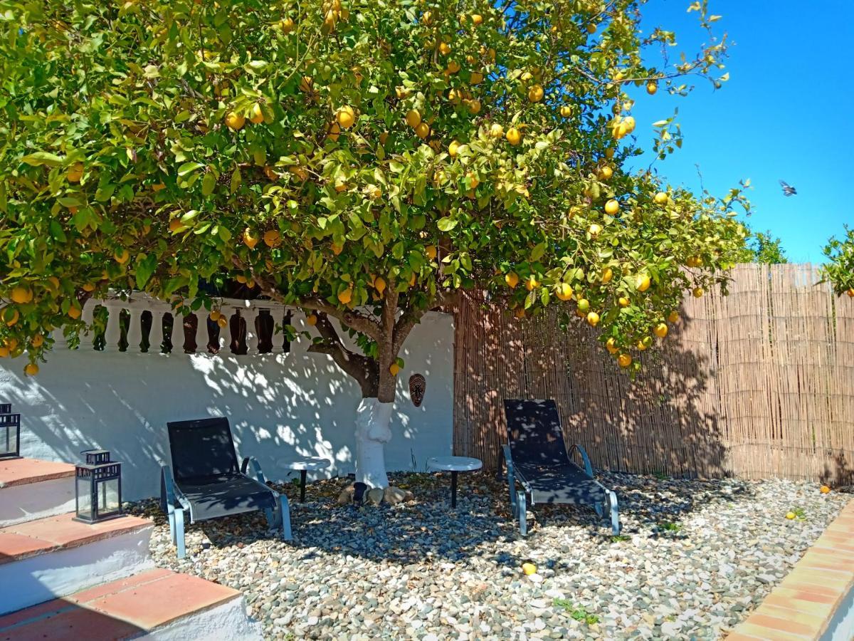 Finca Rayo Del Sol Alhaurín el Grande Eksteriør billede
