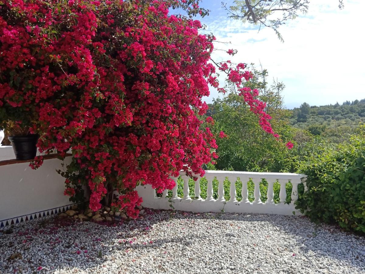Finca Rayo Del Sol Alhaurín el Grande Eksteriør billede