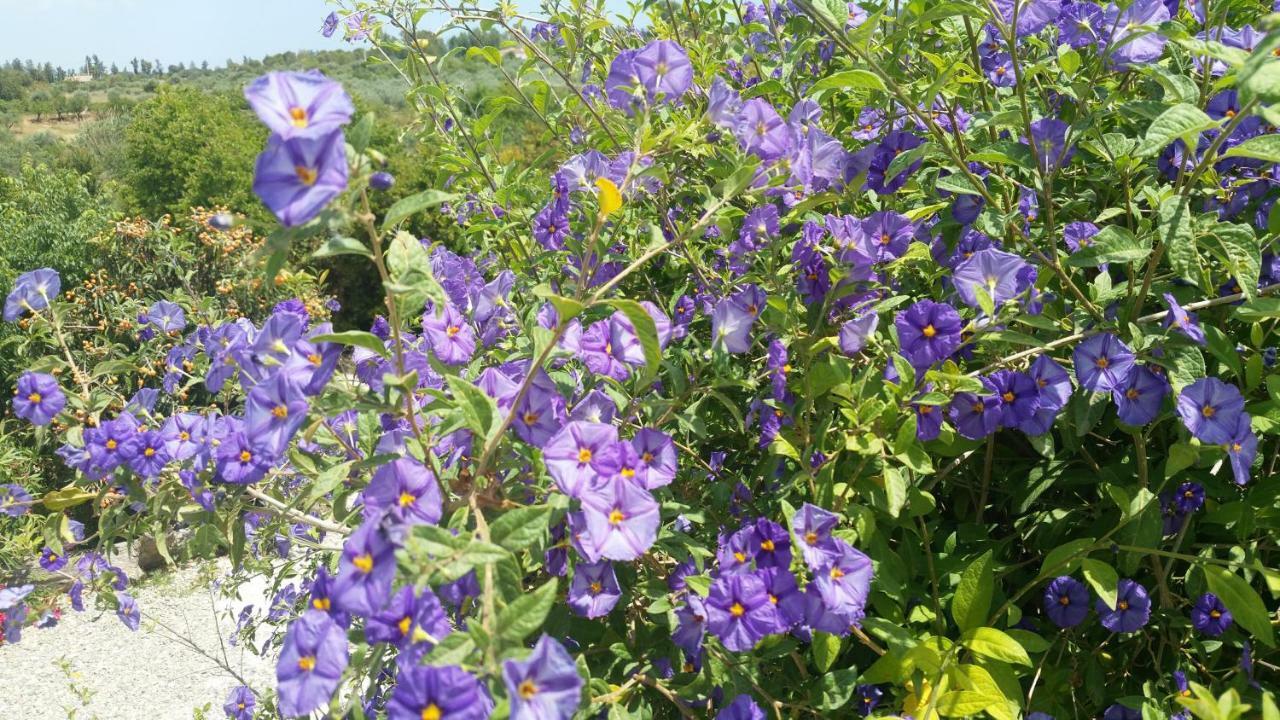 Finca Rayo Del Sol Alhaurín el Grande Eksteriør billede